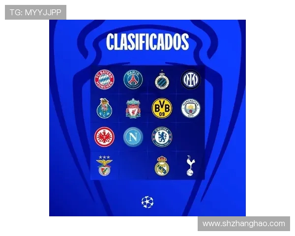 德国足协新增战略副主席职位引发内部权力争夺和激烈博弈